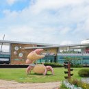 무안생태갯벌과학관 이미지