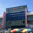 삼척 장호항 배낚시 은하호에서 가자미배낚시(+낚시거치대로 여자들도 편하게)