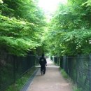 도화동공원 이미지