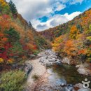 오대산 달빛 이미지