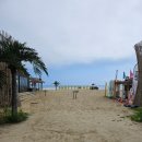 힐링비치 | [동해 여행] 이국적인 휴양지감성 폭발!양양 서피비치(SURFFYBEACH) 힐링 후기🏄‍♀️🍹(2편)