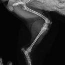 열린동물병원 이미지