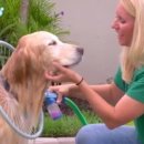 The 개편한세상 이미지