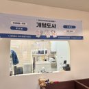 개털도사 | 김해 애견미용 추천 클리핑 가위컷 후기 개털도사