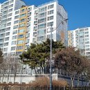 늘푸른청소 이미지