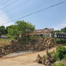 숲속 짱구네 이미지