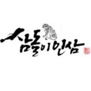 삼돌이인삼