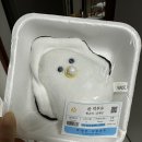 솔바람야영장 | 송정 솔바람 해변 캠핑장 | 남해 송정 솔바람 해수욕장 | 경남 캠핑지 추천 | 야영장 오토 캠핑장 정보...