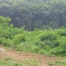 수원-0666 이미지