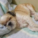 한성기린아파트 이미지