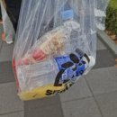 2025 서울 동아 마라톤 대회 후기