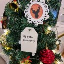 아빠짬뽕 이미지