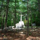 겟세마니 동산 이미지