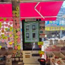 개밥파는고양이김포