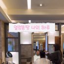 도영헤어살롱 네이버블로그