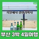 남천민박 | 6월 부산여행 후기▪️3박 4일 여정✖️예산 100만원 리얼 기록📒 (기장:대게, 학리방파제/광안리:오션뷰 숙소...