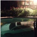 신박한세차 이미지