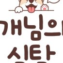 와와네 수제간식 이미지