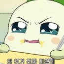 서산/성연) &#34;도담샤브 손칼국수&#34; 순식간에 大 맛집 등극 데이트