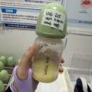 이든산후조리원 | 이든포레 산후조리원 내돈내산 솔직후기(13박 14일)