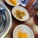 빛고을애견샵 이미지