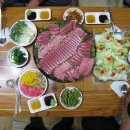 오늘참치 이미지