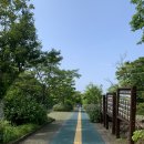 제주 여름에 아기와 함께 가볼 만한 곳(한라생태숲 유아숲체험원)