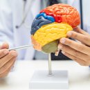 탑메디슨코리아 이미지