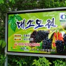 구곡농장 Daum카페