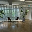 고색애견 이미지