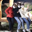 봉화황토테마파크 네이버블로그