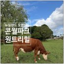 이든농장 | 오클랜드 콘월파크 원트리힐 Cornwall Park One Tree Hill 뚜벅이 후기