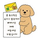 다운타운 | 수완지구 신상 카페 프롬다운타운 로스터스 휘낭시에 후기