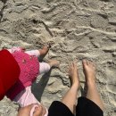 덕승농장 이미지