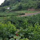 해안펜션 이미지