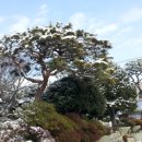 남중농장 이미지