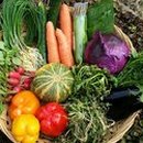 회원농장 이미지