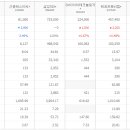 신흥전지