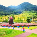 2025 삼강주막나루터축제 이미지