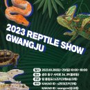 렙타일마켓