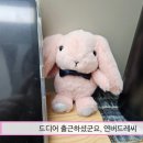 [잔인하고 솔직한 포토리뷰] 발리 초콜릿으로 추정되는 두꺼비 등 닮은 초콜릿 솔직 후기