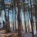 상도근린공원 이미지