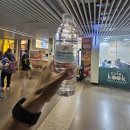 삼성자동차(주)AUTO STATION | [20240818 싱가폴] 늦잠 뒤 Newton Food Centre(뉴턴 푸드 센터)로 이동