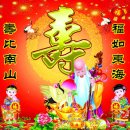 그루미송 | 추사 김정희의 세한도를 중심으로 송(松)과 백(柏)의 실체 탐구