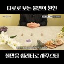 타로로 읽는 하루 이미지