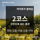 석성4리 노인회관 | [제주도 올레길 2코스] 정리된 사진으로 보는 성산 완주 후기