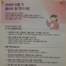 귀엽꾸멍 이미지