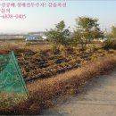 진천군 초평면 오갑보건진료소 | [충북 진천군 초평면 토지(전)경매] 충청북도 진천군 초평면 오갑리 598 [2018타경54794]