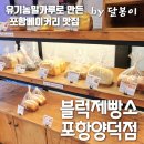 블럭제빵소 포항양덕
