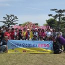 제주특별자치도자원봉사센터 투어코리아
